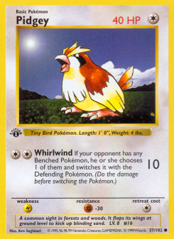 Pidgey - pokemon TCG Card
