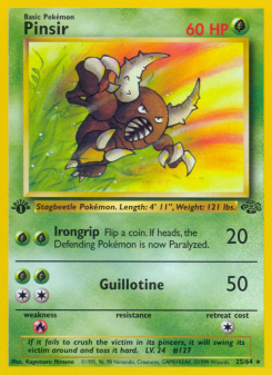 Pinsir - pokemon TCG Card