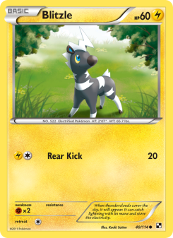 Blitzle - pokemon TCG Card