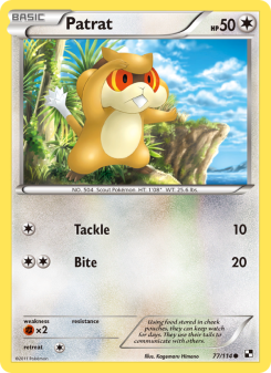 Patrat - pokemon TCG Card