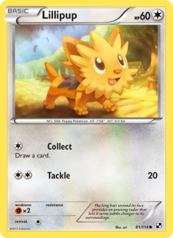 Lillipup - pokemon TCG Card