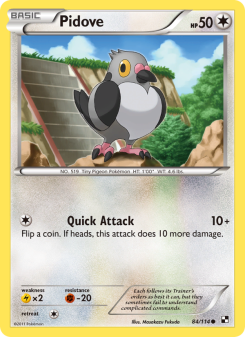 Pidove - pokemon TCG Card