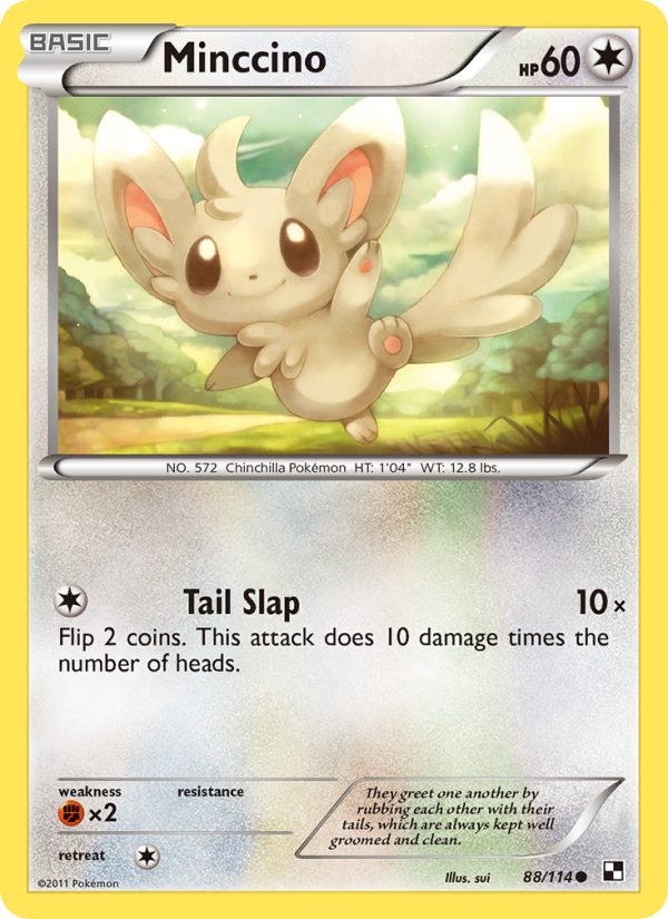 Minccino - Pokémon TCG Card