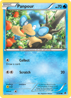 Panpour - pokemon TCG Card