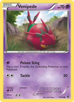 Venipede - pokemon TCG Card