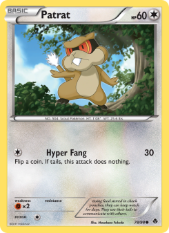 Patrat - pokemon TCG Card