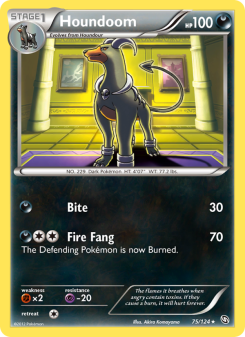 Houndoom - pokemon TCG Card