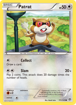 Patrat - pokemon TCG Card