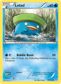 Lotad - pokemon TCG Card