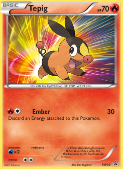 Tepig - pokemon TCG Card