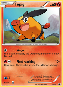 Tepig - pokemon TCG Card