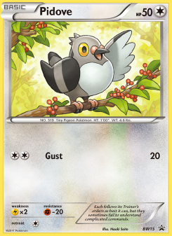 Pidove - pokemon TCG Card