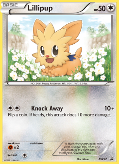 Lillipup - pokemon TCG Card