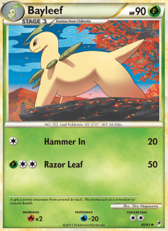 Bayleef - pokemon TCG Card