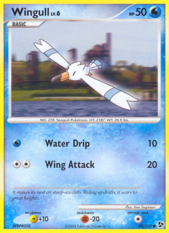 Wingull - pokemon TCG Card