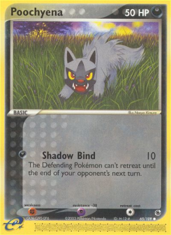 Poochyena - pokemon TCG Card