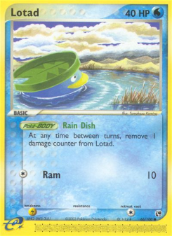 Lotad - pokemon TCG Card