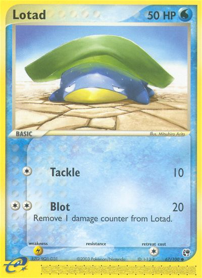 Lotad - Pokémon TCG Card