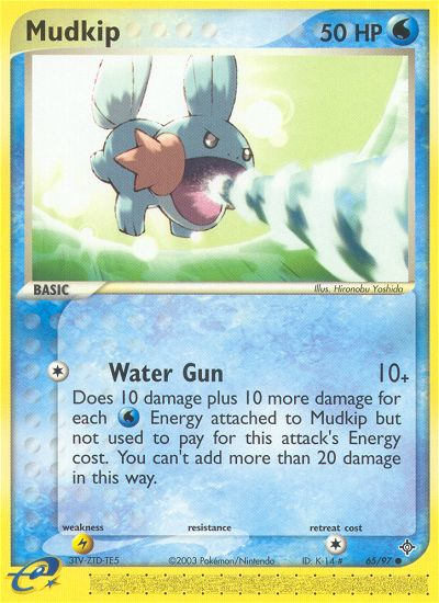 Mudkip - Pokémon TCG Card