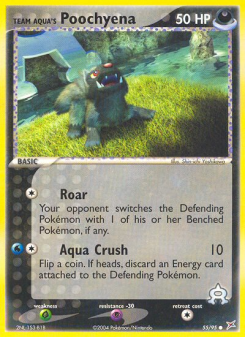 Team Aqua's Poochyena - pokemon TCG Card