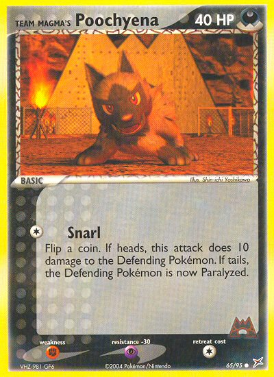 Team Magma's Poochyena - Pokémon TCG Card