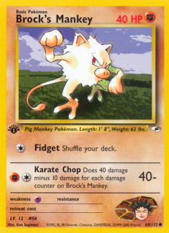 Brock's Mankey - pokemon TCG Card