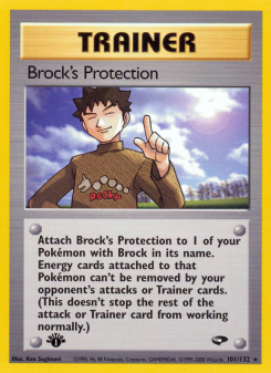Brock's Protection - pokemon TCG Card