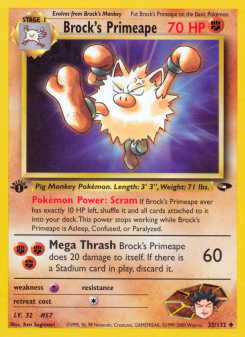 Brock's Primeape - pokemon TCG Card
