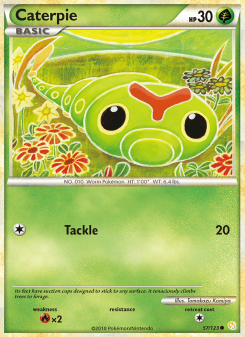 Caterpie - pokemon TCG Card