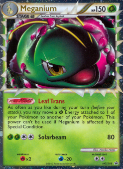 Meganium - pokemon TCG Card
