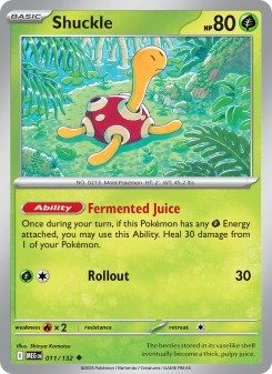 Shuckle - pokemon TCG Card