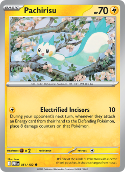 Pachirisu - pokemon TCG Card