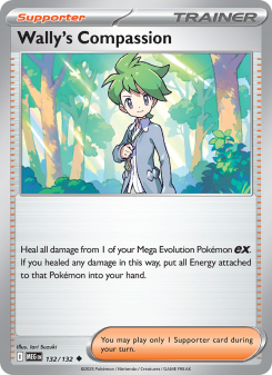 Wally's Compassion - pokemon TCG Card