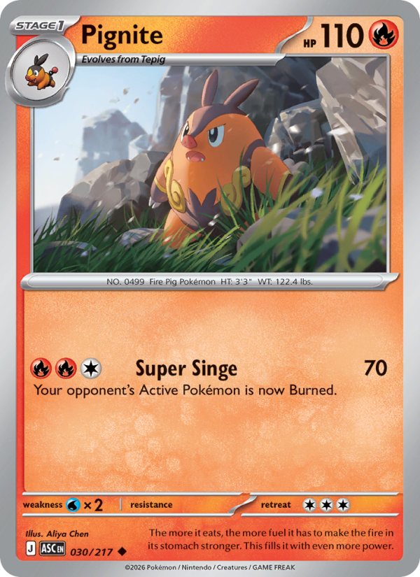 Pignite - Pokémon TCG Card
