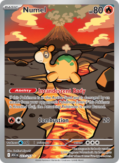 Numel - pokemon TCG Card
