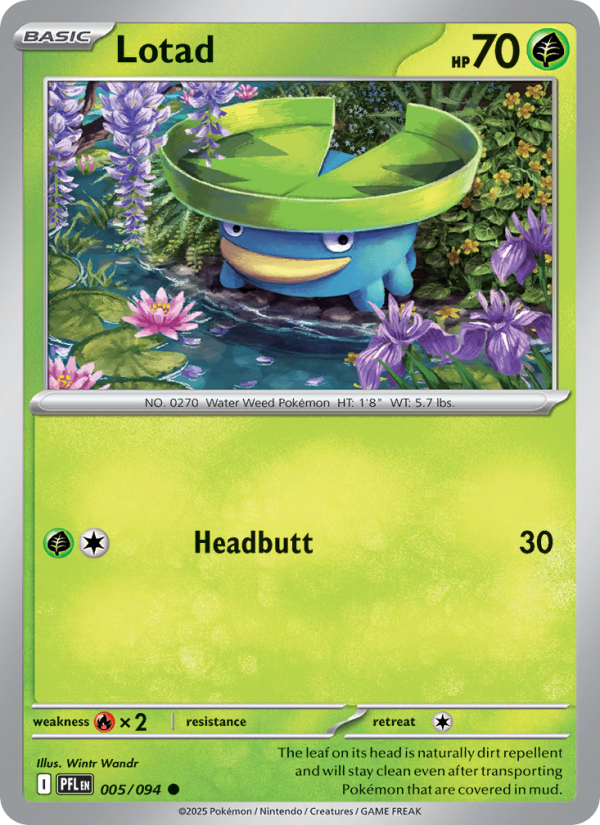 Lotad - Pokémon TCG Card