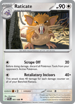 Raticate - pokemon TCG Card