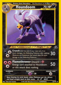 Houndoom - pokemon TCG Card