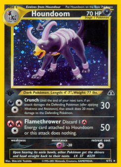 Houndoom - pokemon TCG Card