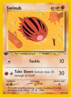 Swinub - pokemon TCG Card