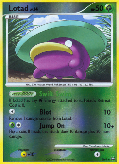 Lotad - pokemon TCG Card