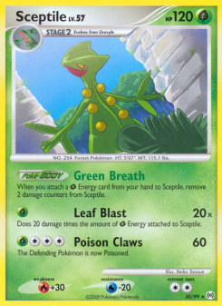 Sceptile - pokemon TCG Card