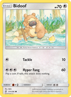 Bidoof - pokemon TCG Card