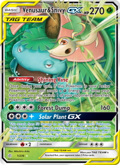 Venusaur & Snivy GX - pokemon TCG Card