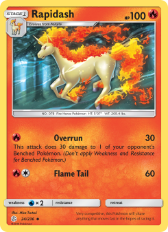 Rapidash - pokemon TCG Card