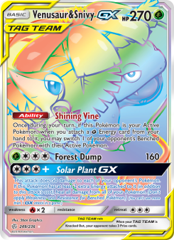 Venusaur & Snivy GX - pokemon TCG Card