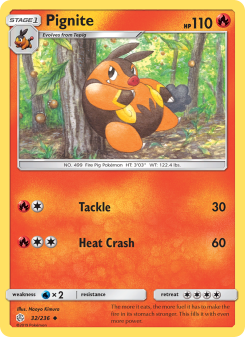 Pignite - pokemon TCG Card
