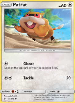 Patrat - pokemon TCG Card