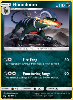 Houndoom - pokemon TCG Card