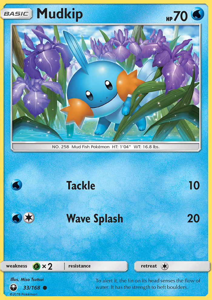Mudkip - Pokémon TCG Card